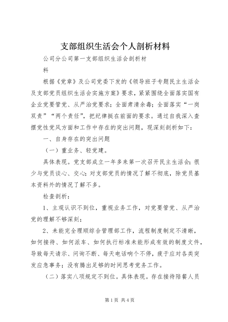 支部组织生活会个人剖析材料 (5).docx