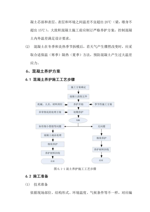 桥梁混凝土养护专项方案修改版.docx