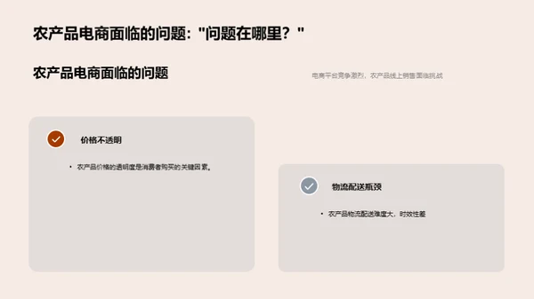 农产品电商新篇章