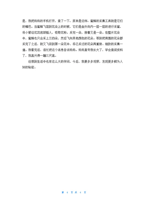 我的发现500字作文