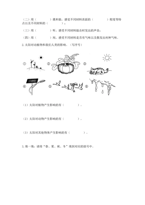 教科版二年级上册科学期末测试卷精品（实用）.docx