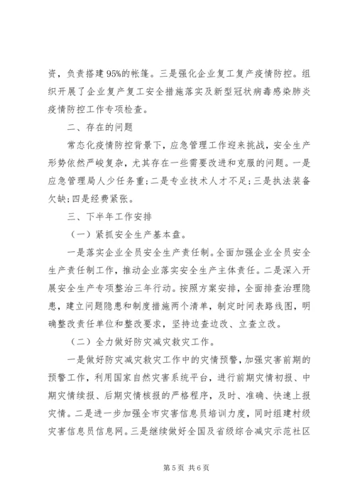 应急管理局XX年上半年工作总结和下步工作计划.docx