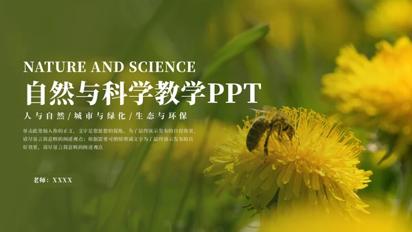 蜜蜂采蜜自然与科学通用PPT模板