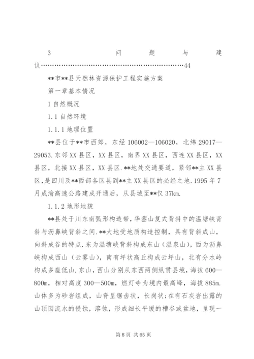 某县天然林资源保护工程实施方案.docx