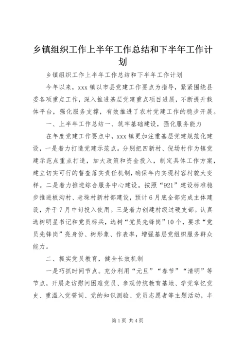 乡镇组织工作上半年工作总结和下半年工作计划.docx