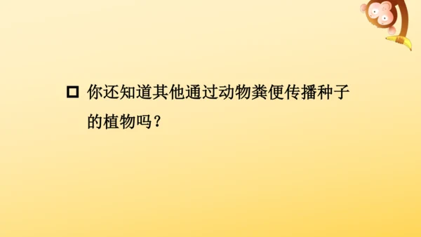 3 植物妈妈有办法  课件
