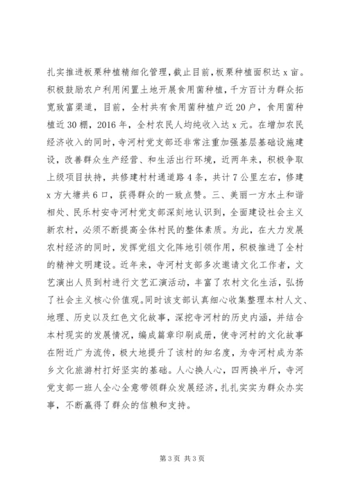 村党支部XX年基层党建示范点建设典型材料.docx