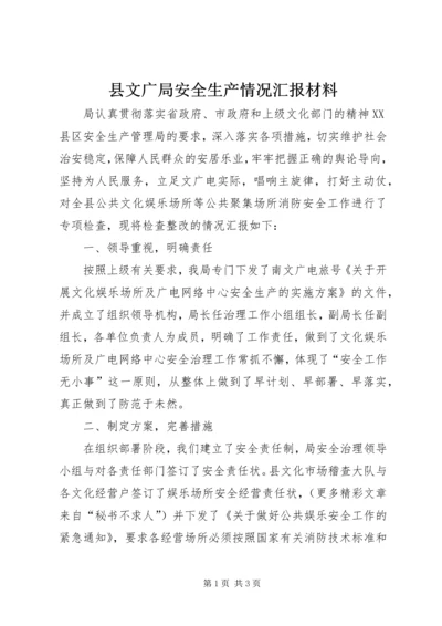 县文广局安全生产情况汇报材料 (2).docx