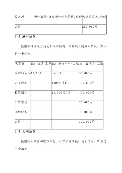 社创项目财务分析方案