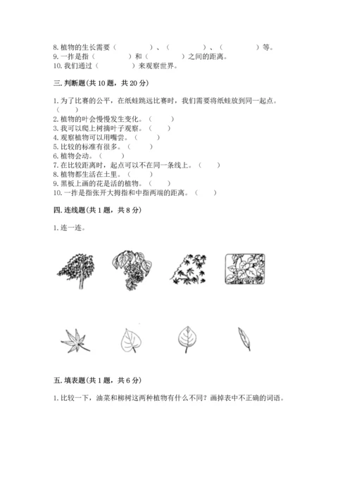 教科版一年级上册科学期末测试卷a4版可打印.docx