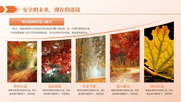 橙色商务图文排版PPT版式合集