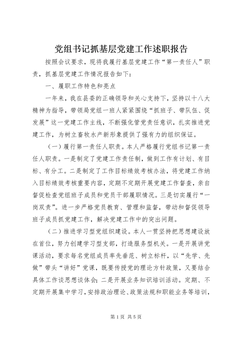 党组书记抓基层党建工作述职报告.docx