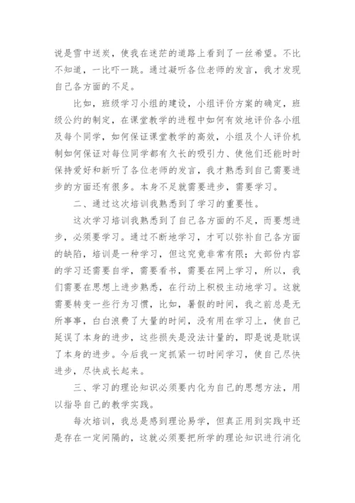 寒假教师研修培训心得体会.docx