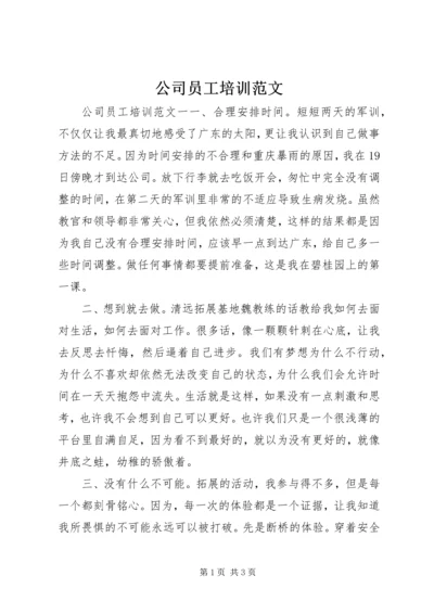 公司员工培训范文.docx