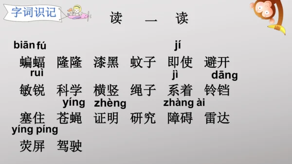 6 夜间飞行的秘密   课件