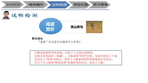 七年级上册《鸟》+“人与动物”教学设计PPT