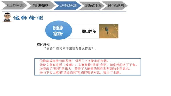 七年级上册《鸟》+“人与动物”教学设计PPT