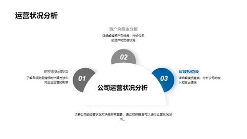 财务报告深度解析