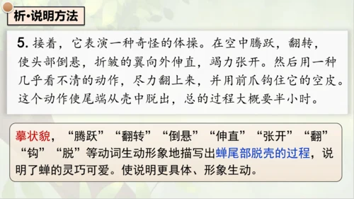 21《蝉》课件