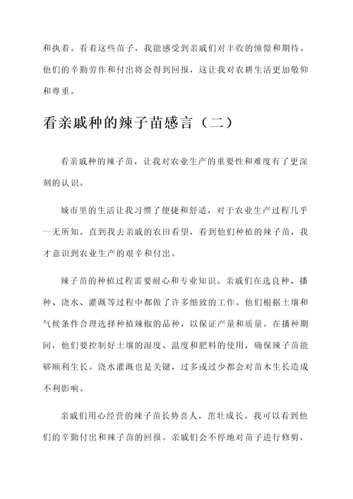 看亲戚种的辣子苗感言