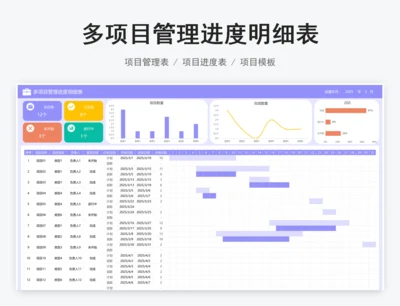 多项目管理进度明细表