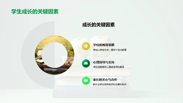 六年级的学习生活