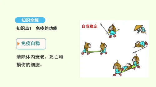8.1.2.2免疫与计划免疫（第二课时）课件-人教版生物八年级下册(共27张PPT)