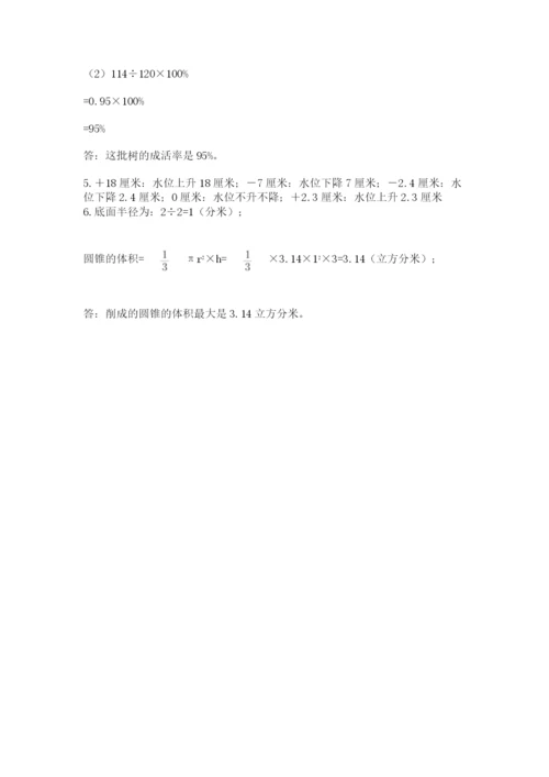 西师大版数学小升初模拟试卷带答案（夺分金卷）.docx