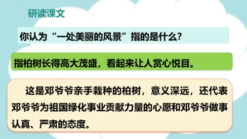 第4课 《邓小平爷爷植树》（教学课件）