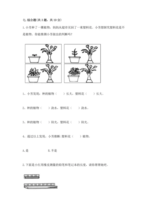 教科版一年级上册科学期末测试卷带答案.docx