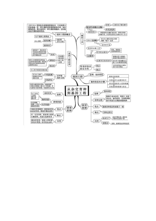 高中生物思维导图.docx