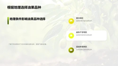 油果种植之全方位解析