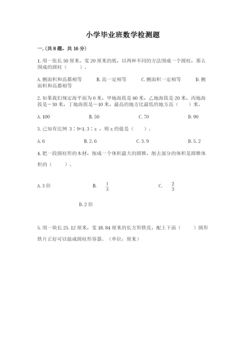 小学毕业班数学检测题（名校卷）.docx