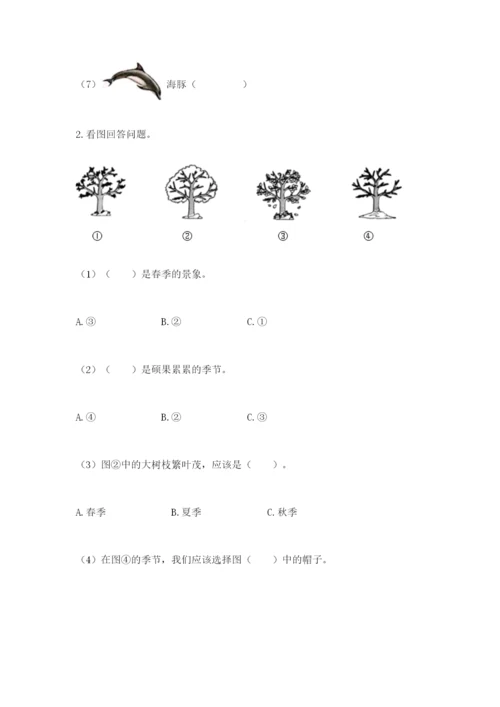 教科版二年级上册科学期末考试试卷含答案【实用】.docx