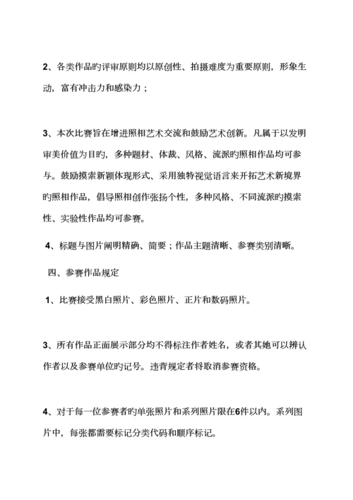 大型演出专题策划专题方案.docx