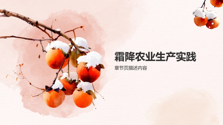 二十四节气霜降PPT模板