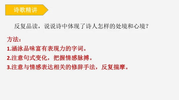 14 诗词三首《行路难（其一）》课件