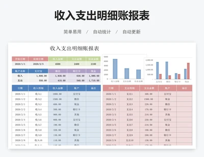 收入支出明细账报表