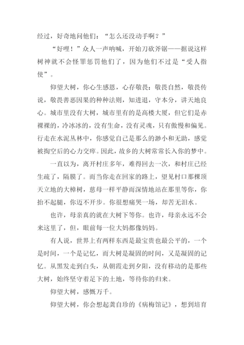 仰望大树作文1000字.docx