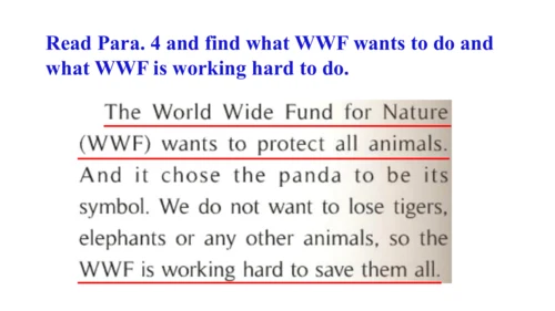 Module 6 Unit 2 The WWF is working hard to save th