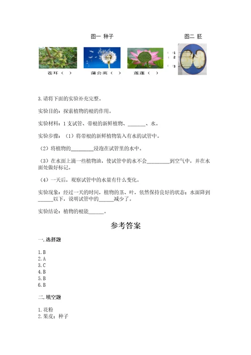 教科版科学四年级下册第一单元植物的生长变化测试卷完整参考答案