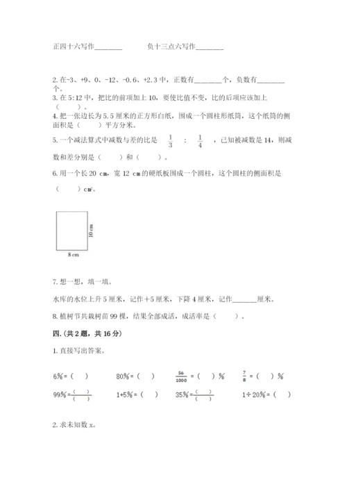 苏教版数学六年级下册试题期末模拟检测卷精品【典优】.docx