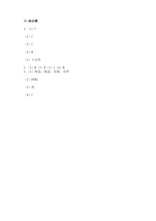 教科版四年级下册科学第一单元《植物的生长变化》测试卷（研优卷）.docx