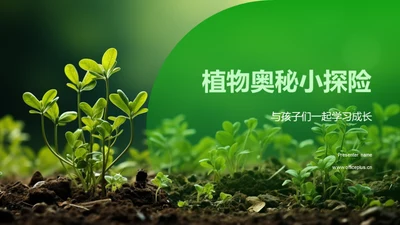 植物奥秘小探险