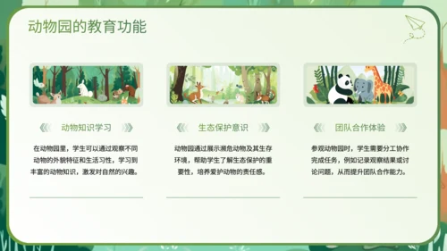 绿色插画风科普知识动物PPT