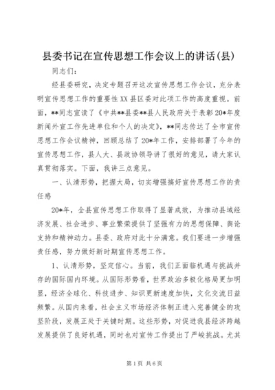 县委书记在宣传思想工作会议上的讲话(县).docx