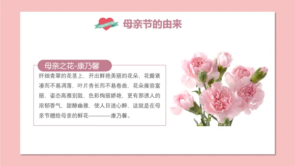 妈妈辛苦了母亲节PPT模板