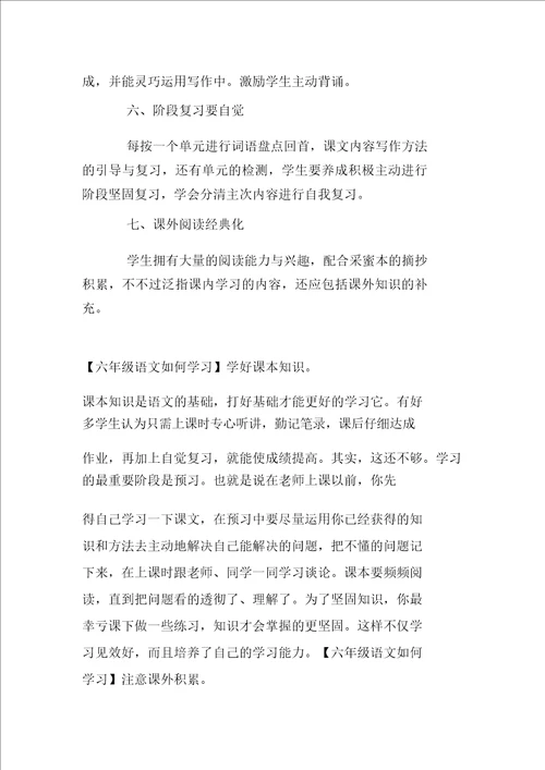 小学六年级语文学习方法指导