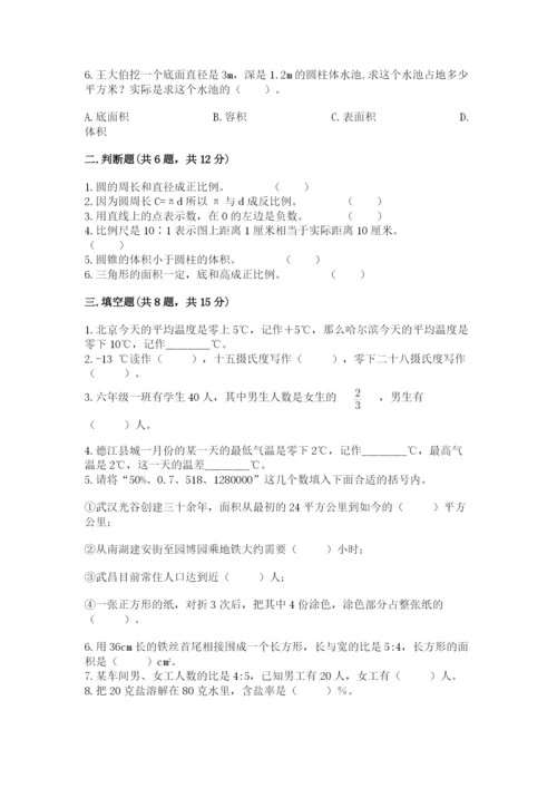 平湖市六年级下册数学期末测试卷往年题考.docx