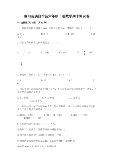 麻阳苗族自治县六年级下册数学期末测试卷精编答案.docx